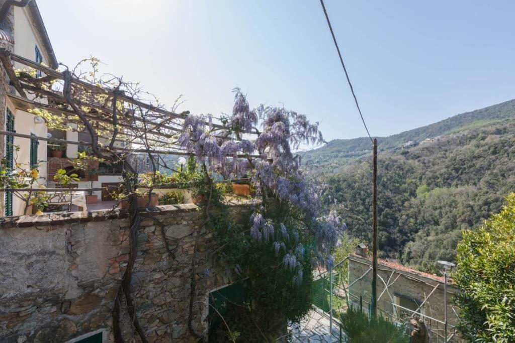 La Casa Di Sandra A Noli Villa Eksteriør bilde