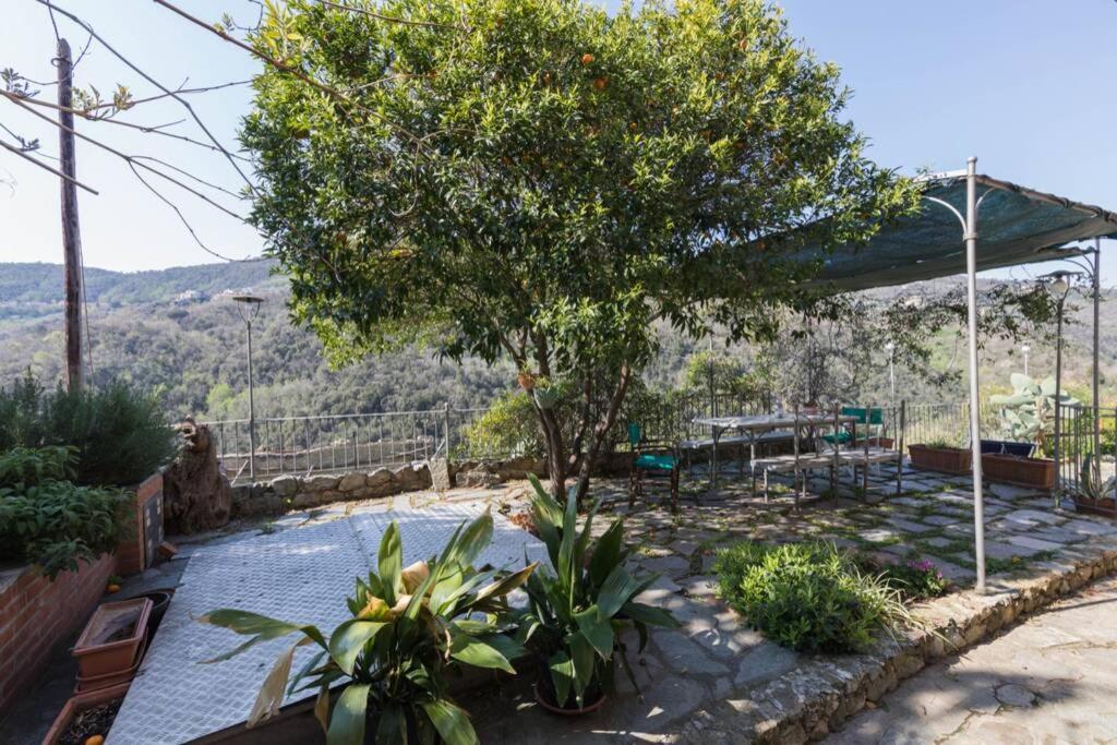 La Casa Di Sandra A Noli Villa Eksteriør bilde