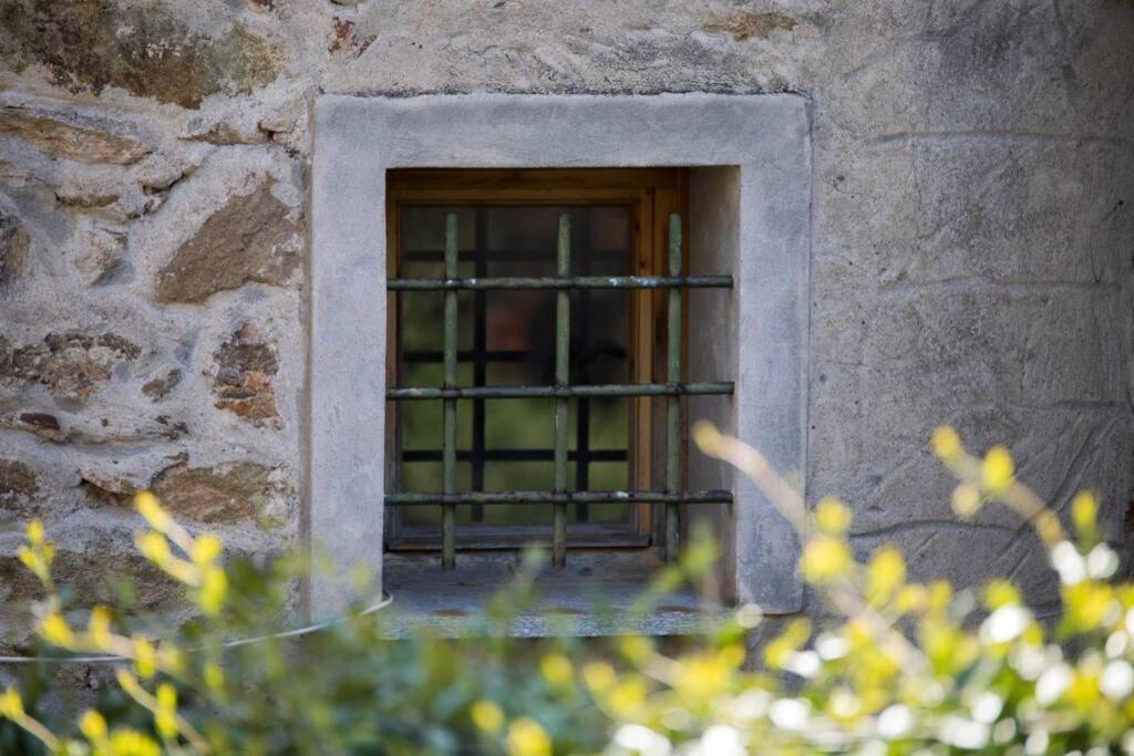 La Casa Di Sandra A Noli Villa Eksteriør bilde